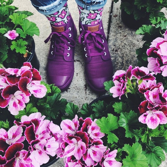 BANGS Shoes - BANGS - (AMETHYST) UNISEX Men’s 6/Women’s 7.5